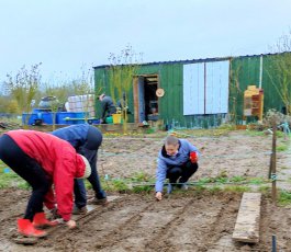 Saison au jardin 2021 : top départ sur le terrain pour le réseau des jardins nourriciers de Terres de Lorraine
